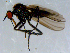  ( - 10PROBE-08558)  @12 [ ] CreativeCommons - Attribution (2011) CBG Photography Group Centre for Biodiversity Genomics