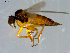  ( - 10PROBE-08571)  @12 [ ] CreativeCommons - Attribution (2011) CBG Photography Group Centre for Biodiversity Genomics