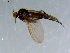  ( - 10PROBE-08586)  @12 [ ] CreativeCommons - Attribution (2011) CBG Photography Group Centre for Biodiversity Genomics