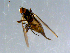  ( - 10PROBE-08588)  @12 [ ] CreativeCommons - Attribution (2011) CBG Photography Group Centre for Biodiversity Genomics