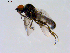  ( - 10PROBE-08638)  @12 [ ] CreativeCommons - Attribution (2011) CBG Photography Group Centre for Biodiversity Genomics