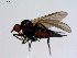  ( - 10PROBE-08652)  @12 [ ] CreativeCommons - Attribution (2011) CBG Photography Group Centre for Biodiversity Genomics