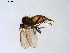 ( - 10PROBE-08704)  @12 [ ] CreativeCommons - Attribution (2011) CBG Photography Group Centre for Biodiversity Genomics