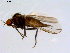  ( - 10PROBE-08732)  @12 [ ] CreativeCommons - Attribution (2011) CBG Photography Group Centre for Biodiversity Genomics