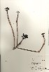  ( - TW020953)  @11 [ ] Copyright (2021) Unspecified Forestry and Forest Products Research Institute