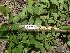  ( - TW021132)  @11 [ ] Copyright (2021) Unspecified Forestry and Forest Products Research Institute