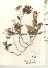  ( - TW021234)  @11 [ ] Copyright (2021) Unspecified Forestry and Forest Products Research Institute