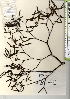  ( - TW021324)  @11 [ ] Copyright (2021) Unspecified Forestry and Forest Products Research Institute