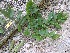  ( - TW021394)  @11 [ ] Copyright (2021) Unspecified Forestry and Forest Products Research Institute