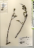  ( - TW021676)  @11 [ ] Copyright (2021) Unspecified Forestry and Forest Products Research Institute
