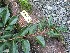  ( - TW024455)  @11 [ ] Copyright (2021) Unspecified Forestry and Forest Products Research Institute