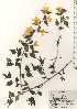  ( - TW024616)  @11 [ ] Copyright (2021) Unspecified Forestry and Forest Products Research Institute