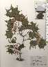  ( - TW024902)  @11 [ ] Copyright (2021) Unspecified Forestry and Forest Products Research Institute