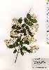 ( - TW025193)  @11 [ ] Copyright (2021) Unspecified Forestry and Forest Products Research Institute