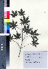 ( - TD082107)  @11 [ ] Copyright (2020) Unspecified Forestry and Forest Products Research Institute