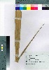 ( - oOGA0078)  @11 [ ] Copyright (2021) Unspecified Forestry and Forest Products Research Institute