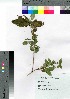  ( - hachi010)  @11 [ ] Copyright (2021) Unspecified Forestry and Forest Products Research Institute