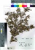 ( - nagami001)  @11 [ ] Copyright (2021) Unspecified Forestry and Forest Products Research Institute