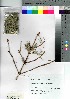  ( - nagami003)  @11 [ ] Copyright (2021) Unspecified Forestry and Forest Products Research Institute