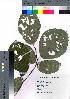  (Styrax obassia - takagi001)  @11 [ ] Copyright (2020) Unspecified Forestry and Forest Products Research Institute