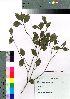  ( - takagi023)  @11 [ ] Copyright (2021) Unspecified Forestry and Forest Products Research Institute