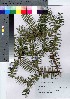  ( - HRS026)  @11 [ ] Copyright (2021) Unspecified Forestry and Forest Products Research Institute