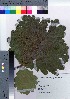  ( - HRS051)  @11 [ ] Copyright (2021) Unspecified Forestry and Forest Products Research Institute