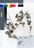  ( - HRS106)  @11 [ ] Copyright (2021) Unspecified Forestry and Forest Products Research Institute