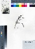  ( - oOGA0220)  @11 [ ] Copyright (2021) Unspecified Forestry and Forest Products Research Institute