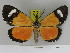  ( - Zwier DNA 1113)  @11 [ ] Copyright (2010) Jaap Zwier Research Collection of Jaap Zwier