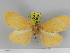  ( - Zwier DNA 1139)  @11 [ ] Copyright (2010) Jaap Zwier Research Collection of Jaap Zwier