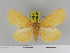  ( - Zwier DNA 1140)  @11 [ ] Copyright (2010) Jaap Zwier Research Collection of Jaap Zwier