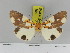  ( - Zwier DNA 1166)  @13 [ ] Copyright (2010) Jaap Zwier Research Collection of Jaap Zwier
