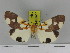  ( - Zwier DNA 1167)  @13 [ ] Copyright (2010) Jaap Zwier Research Collection of Jaap Zwier
