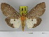  ( - Zwier DNA 1191)  @13 [ ] Copyright (2010) Jaap Zwier Research Collection of Jaap Zwier