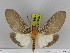  ( - Zwier DNA 1193)  @14 [ ] Copyright (2010) Jaap Zwier Research Collection of Jaap Zwier