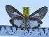  ( - ZWIER DNA 0410)  @14 [ ] Copyright (2010) Unspecified Research Collection of Jaap Zwier