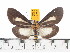  ( - ZWIER DNA 0422)  @14 [ ] Copyright (2010) Unspecified Research Collection of Jaap Zwier