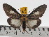  ( - ZWIER DNA 0429)  @14 [ ] Copyright (2010) Unspecified Research Collection of Jaap Zwier