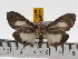  ( - ZWIER DNA 0431)  @14 [ ] Copyright (2010) Unspecified Research Collection of Jaap Zwier