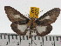  ( - ZWIER DNA 0432)  @14 [ ] Copyright (2010) Unspecified Research Collection of Jaap Zwier