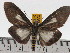 ( - ZWIER DNA 0435)  @14 [ ] Copyright (2010) Unspecified Research Collection of Jaap Zwier