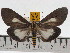  ( - ZWIER DNA 0436)  @12 [ ] Copyright (2010) Unspecified Research Collection of Jaap Zwier