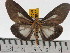  ( - ZWIER DNA 0438)  @12 [ ] Copyright (2010) Unspecified Research Collection of Jaap Zwier