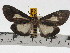  ( - ZWIER DNA 0440)  @14 [ ] Copyright (2010) Unspecified Research Collection of Jaap Zwier