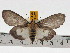  ( - ZWIER DNA 0441)  @13 [ ] Copyright (2010) Unspecified Research Collection of Jaap Zwier