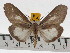  ( - ZWIER DNA 0457)  @14 [ ] Copyright (2010) Unspecified Research Collection of Jaap Zwier