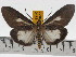  ( - ZWIER DNA 0458)  @14 [ ] Copyright (2010) Unspecified Research Collection of Jaap Zwier