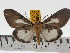  ( - ZWIER DNA 0459)  @12 [ ] Copyright (2010) Unspecified Research Collection of Jaap Zwier