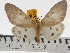  ( - ZWIER DNA 0464)  @14 [ ] Copyright (2010) Unspecified Research Collection of Jaap Zwier